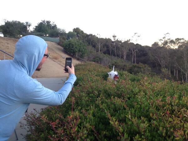 LLF Retreat, Day 3: Unicorn in the Bushes